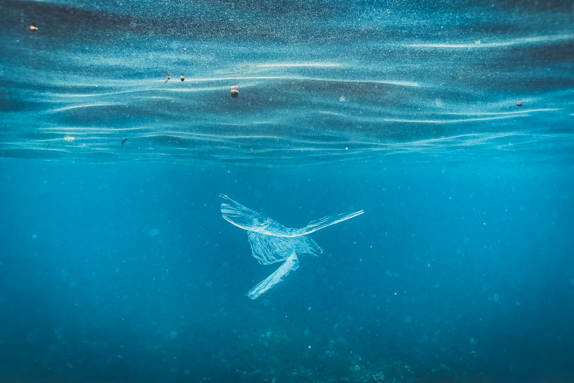 Photo 1706612204200 e73db330e8da