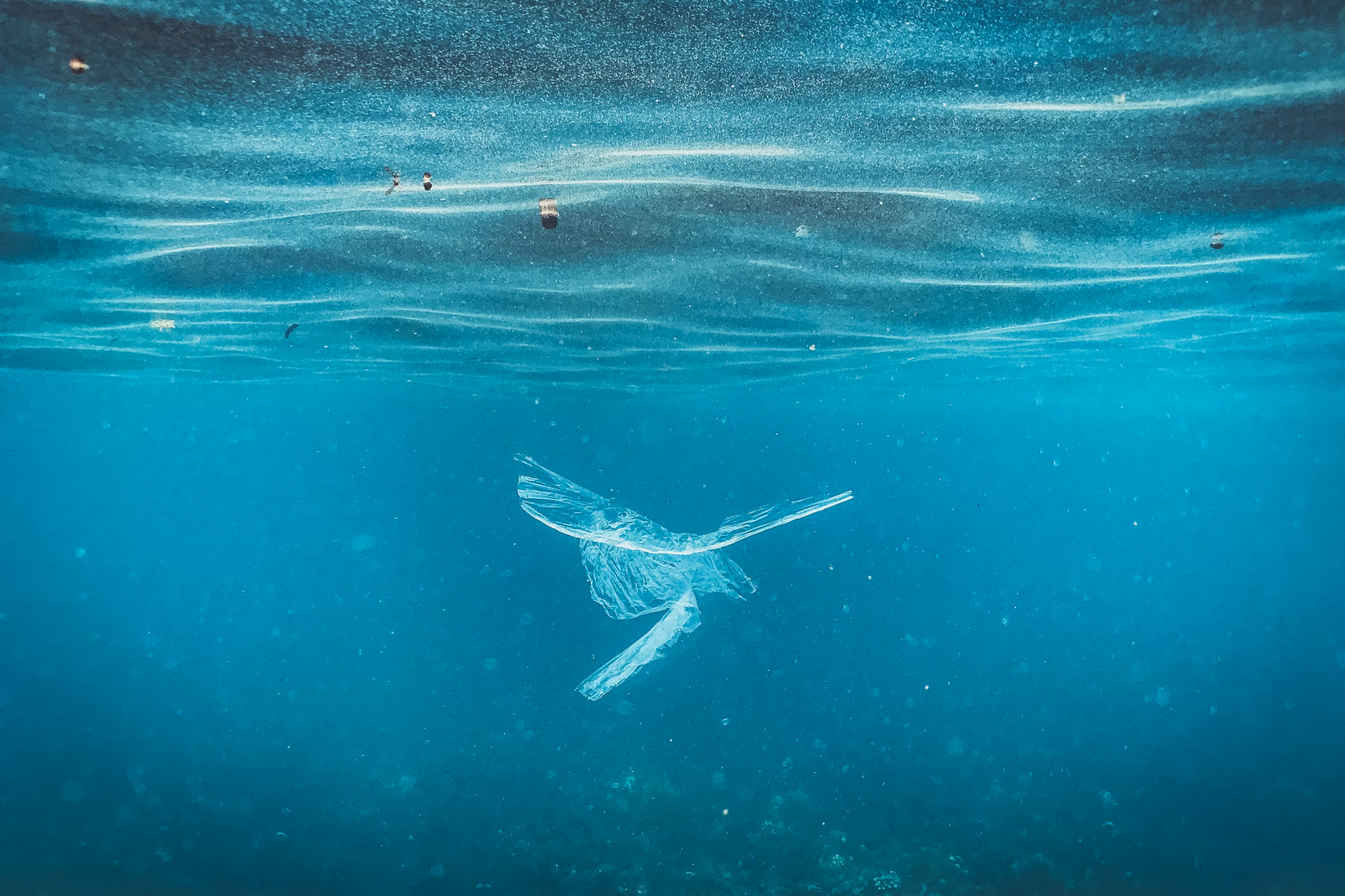 Photo 1706612204200 e73db330e8da